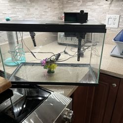 10 Gallon Aquarium Kit