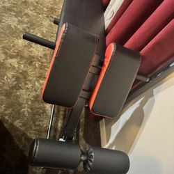 Exercise Bench