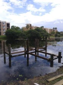 Palm Beach & Broward