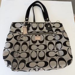 Coach poppy Metallic Bag