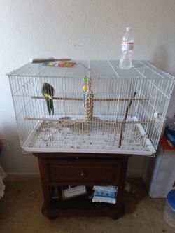 Birdcage for sale
