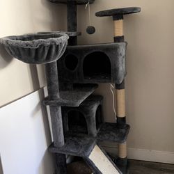 Cat Tree