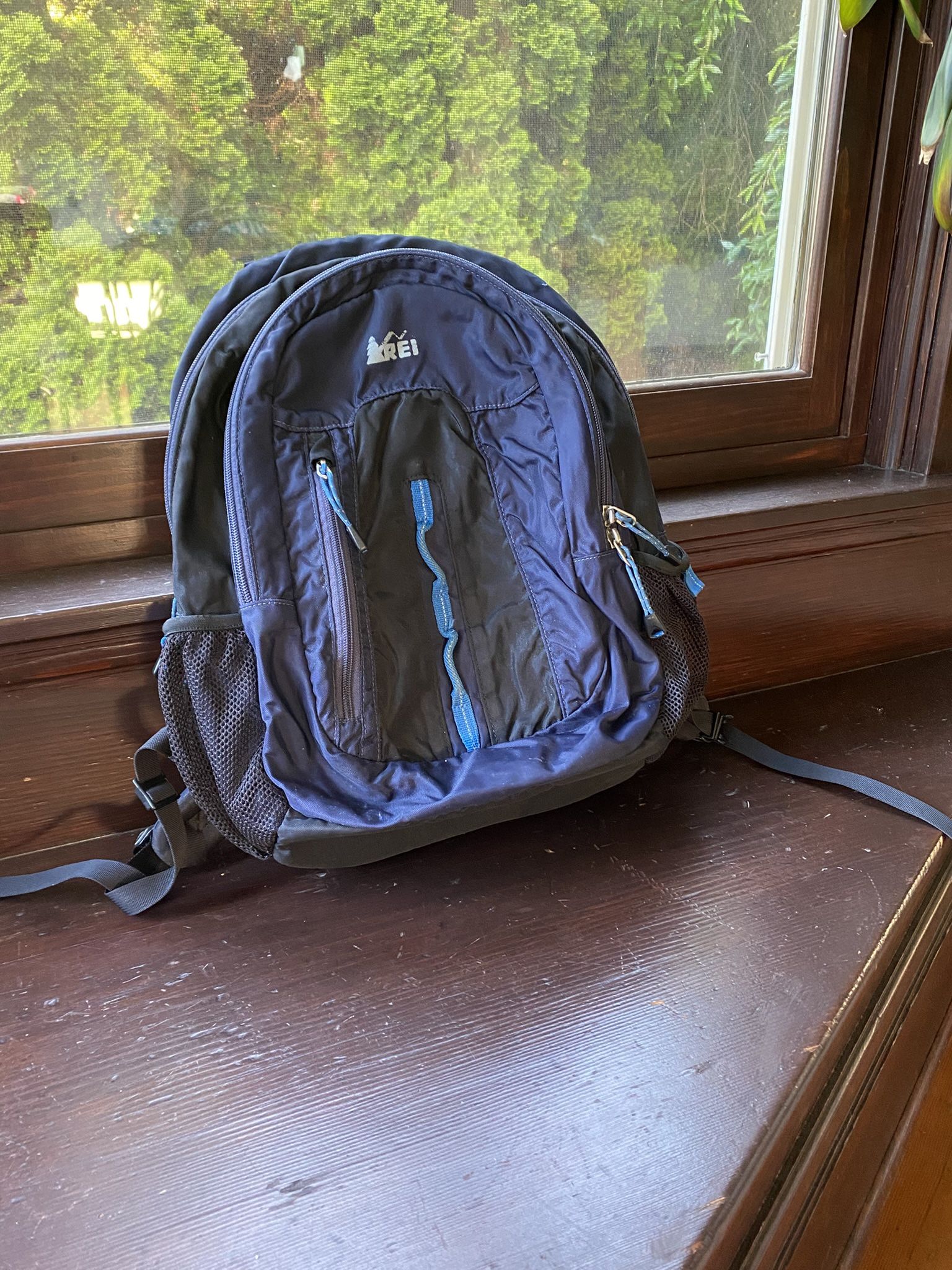 Great REI Day Trip Hiking/Commuter Backpack
