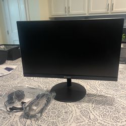21in Monitor