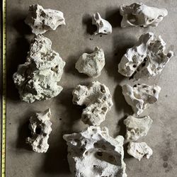 Texas Holey Rock Aquarium Rock/Hardscape