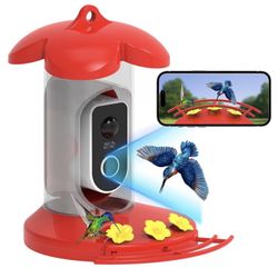 Hummingbird Feeder With Camera 