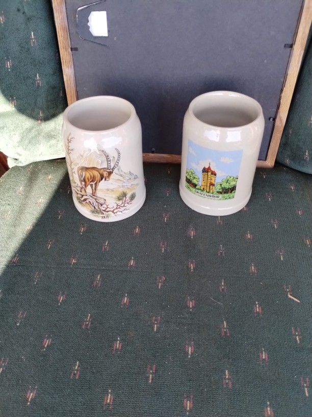 Original German Steins