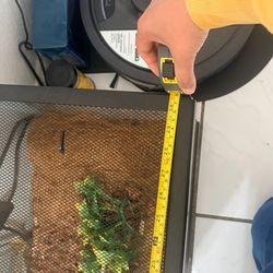 Reptile Tank / Chameleon Setup – Full Kit