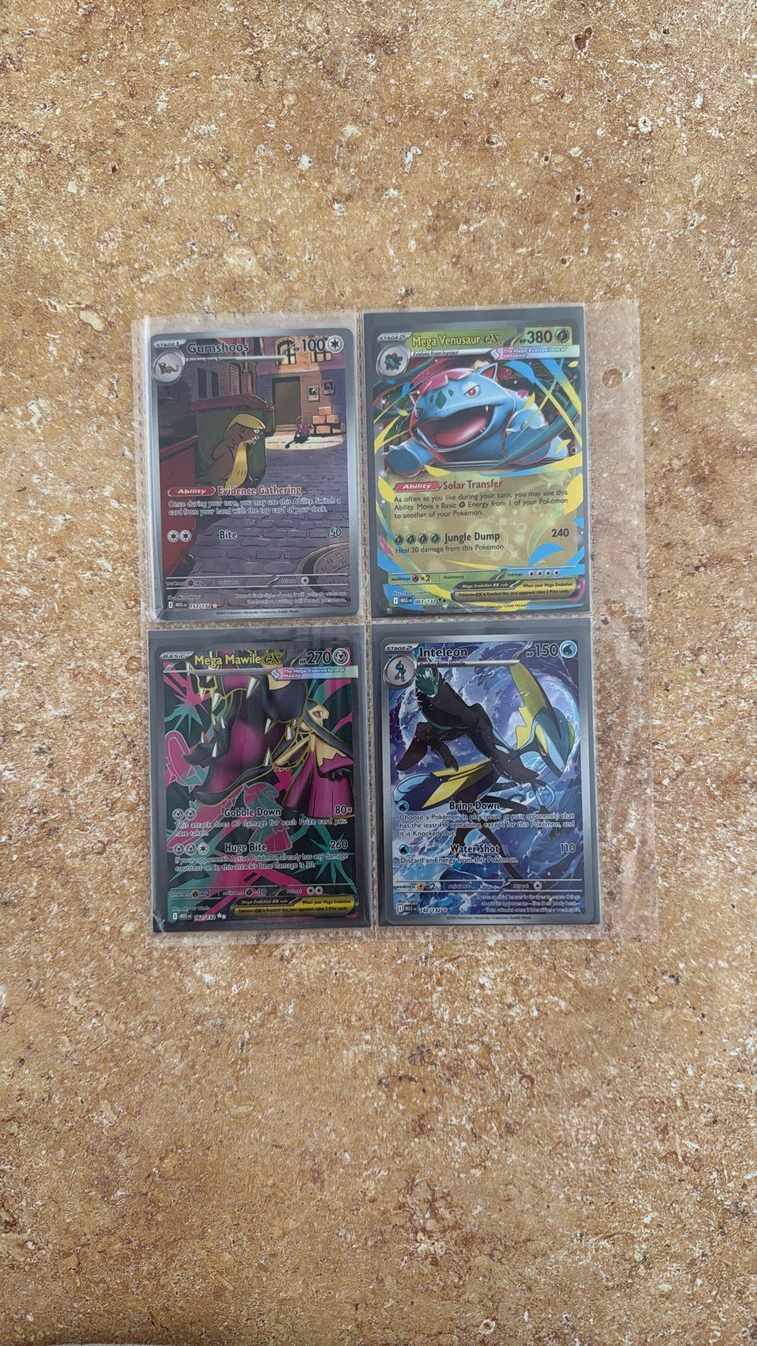 Mega Evolution