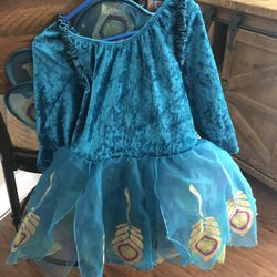 Girls peacock costume