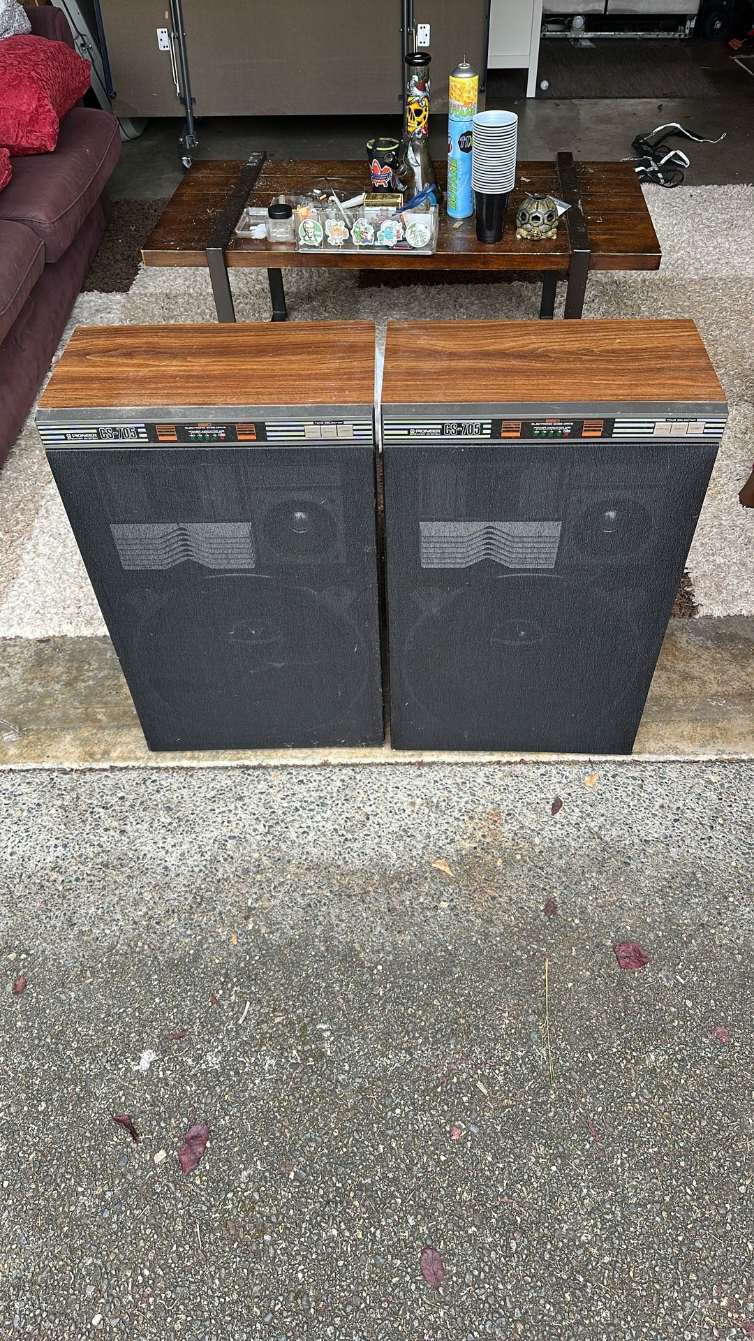 Pioneer Speaker System