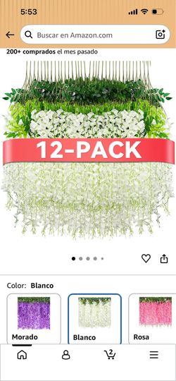 White wisterias