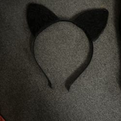 Cat 🐈⬛