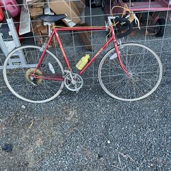 Red And Yellow Wording Frieze GL5000 15 Speed Bicycle With Water Bottle