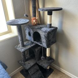 Brand new cat House