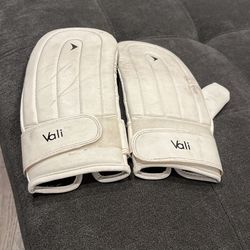 Boxing Hand mitts