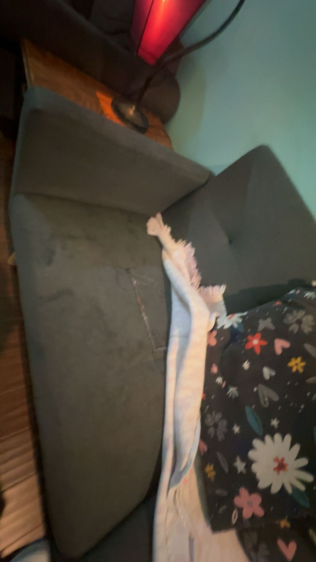 Free Grey Sofa