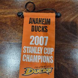 Mini Ducks Stanley Cup Banner 