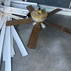 Fan