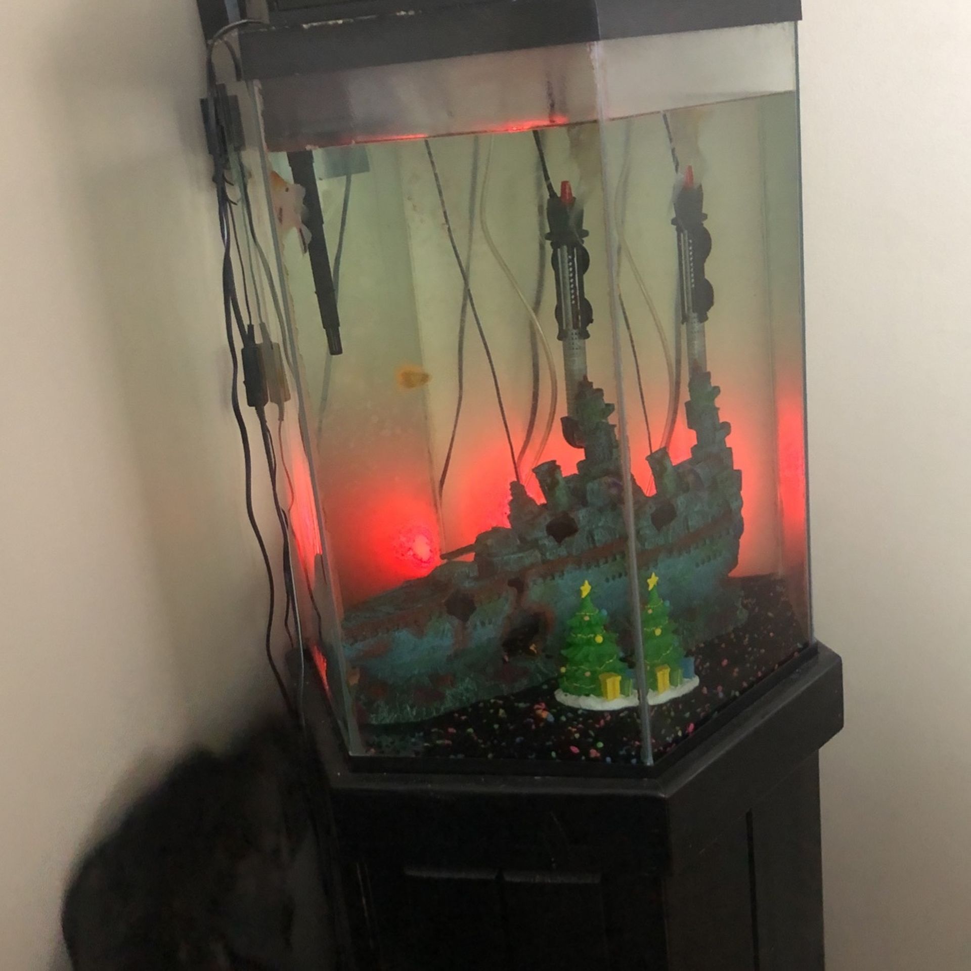 Fish Tank