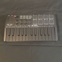 MIDI keyboard