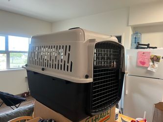 Pet cage travel