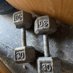Pair 30 Lbs each 