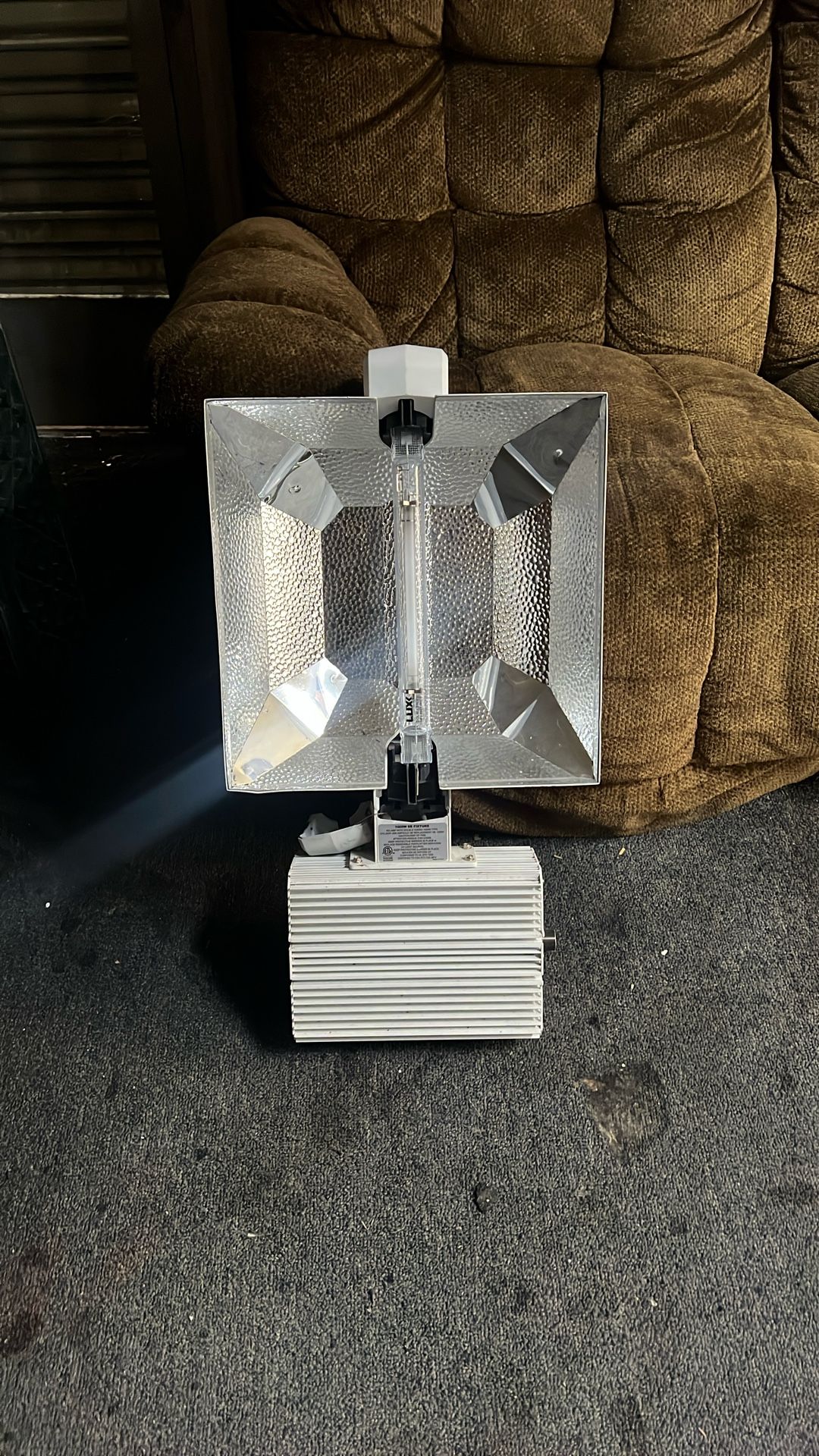 Light For Growing Your Plants 