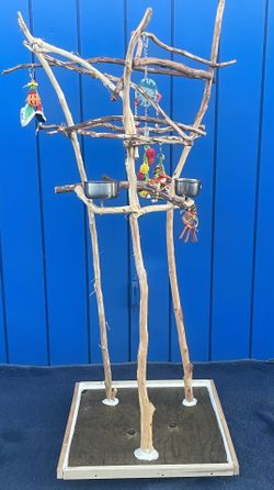 Parrot Perch Tree - Custom Made And A Great Socializer ! Kinda Curvy n Funky , A Great Look ! Loved By Birdees ❤️