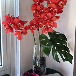 Orange orchid