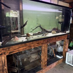 Fish tank 260 gallon