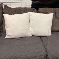 Couch Pillows 