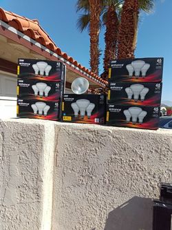 Halogen Light Bulbs