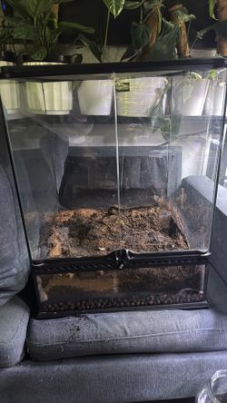 Exo Terra terrarium 18x18x24