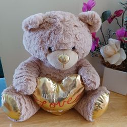 ¡ All You Need Is  LOVE !! Heart Plush Teddy Bear