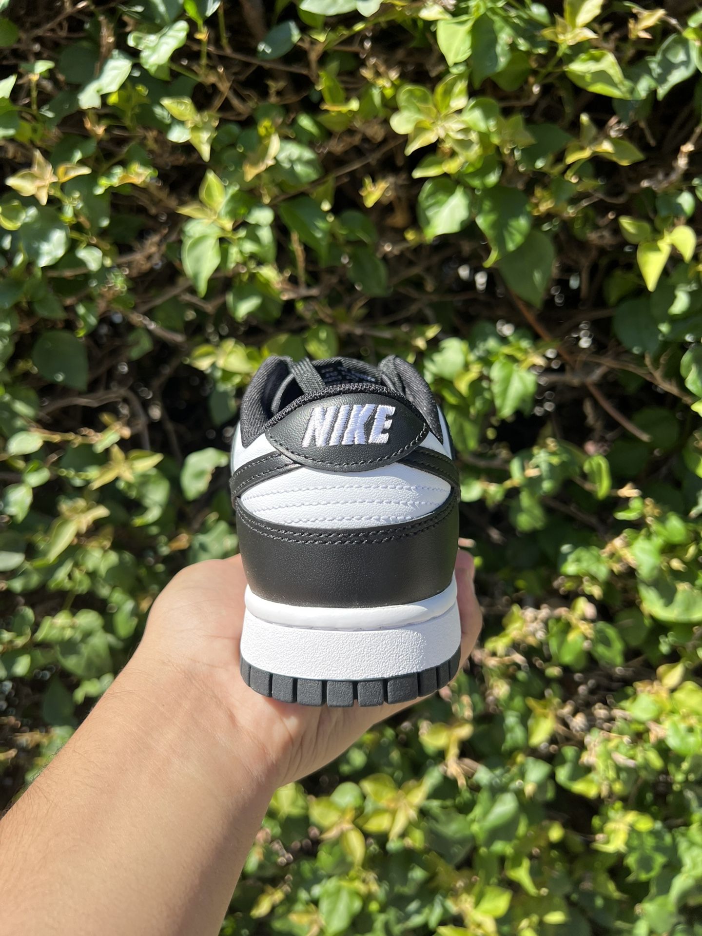 Nike Dunk Low Black White 