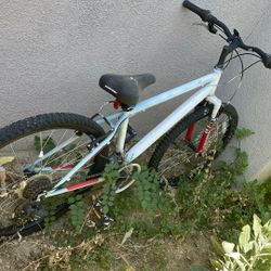 Bike Frame  With Chains