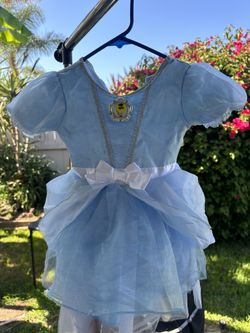 Disney Store Cinderella Costume