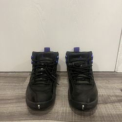 Jordan 12  Dark Concord (sz 8.5)