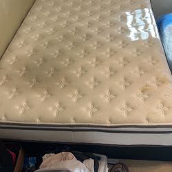 Queen sized mattress 