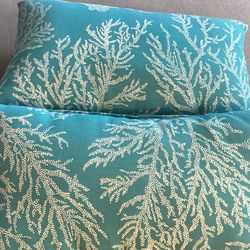 Outdoor Turquoise Pillows