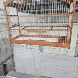 Bird Cage Jaula De Canario 