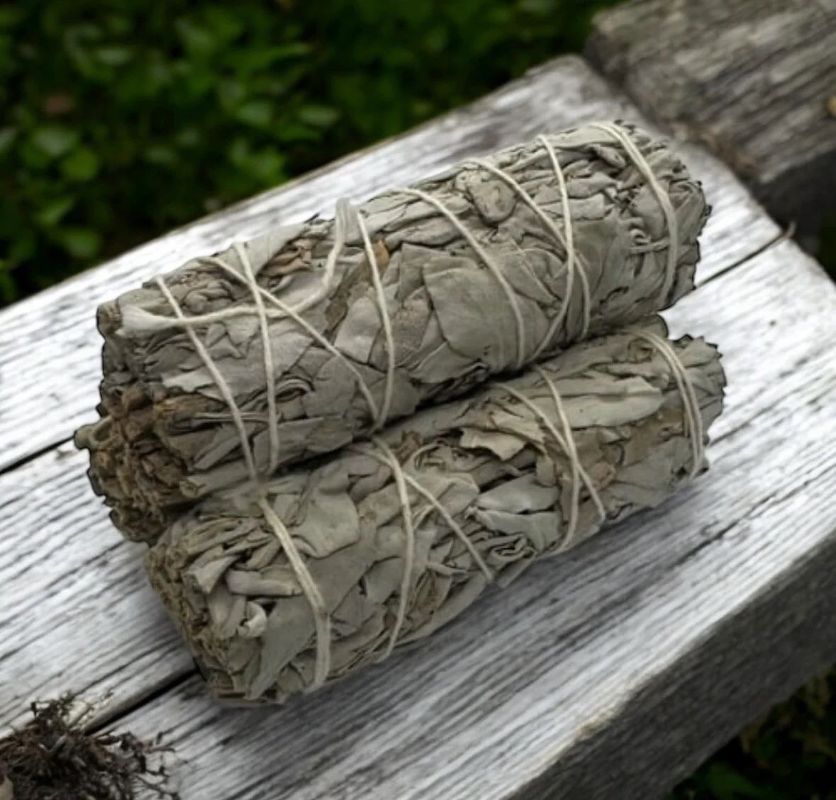 4” White Sage Sticks (3pk)