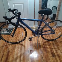 Trek Bike
