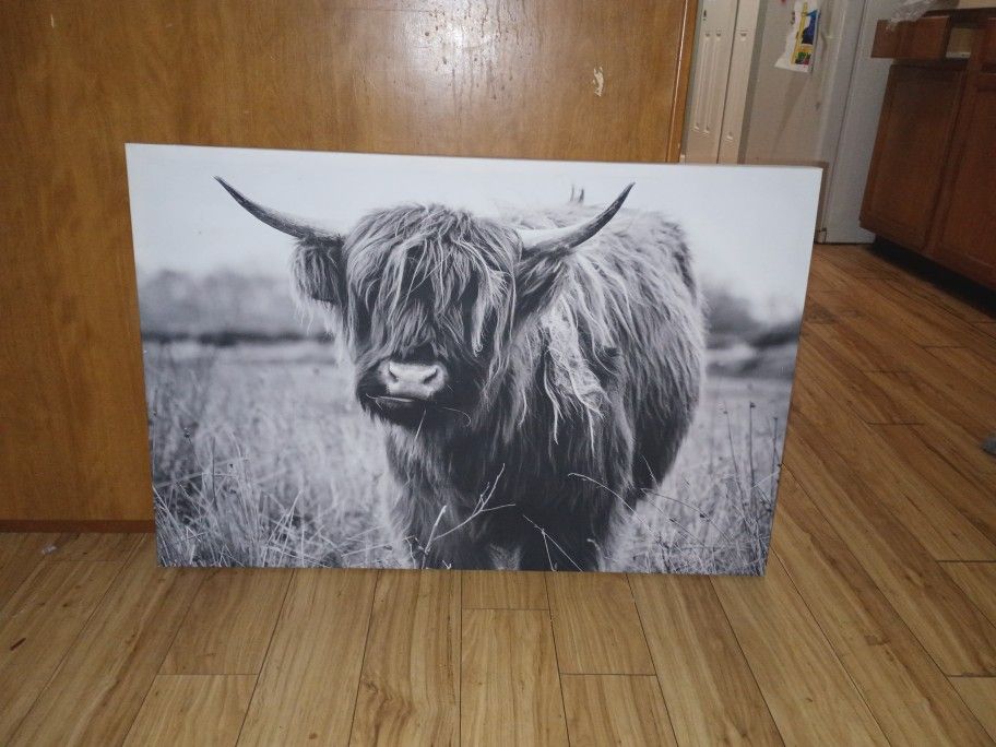 Highland Cow Beautiful Canvas Wall Art