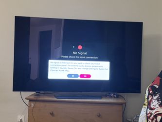 LG 65” OLED TV (BURN IN)