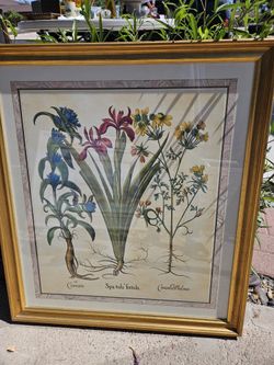Framed Artwork