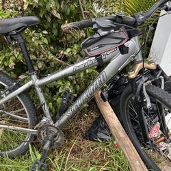 Specialized Sports Bike 