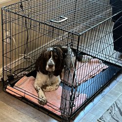 Metal Foldable Dog Crate