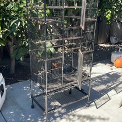 Double Stocker Bird Gage For Large Birds 